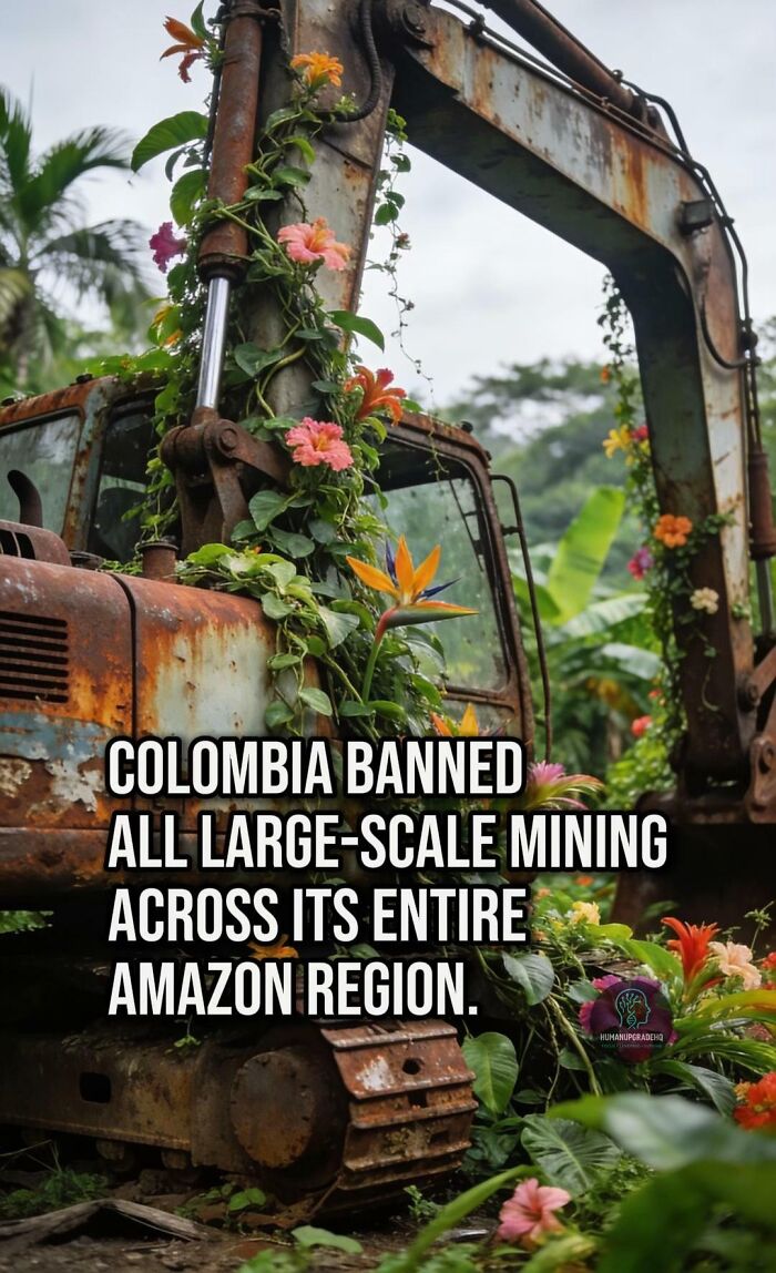 50 Awesome Good News Stories You Totally Missed