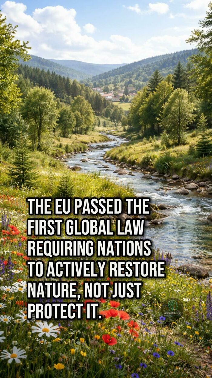 50 Awesome Good News Stories You Totally Missed