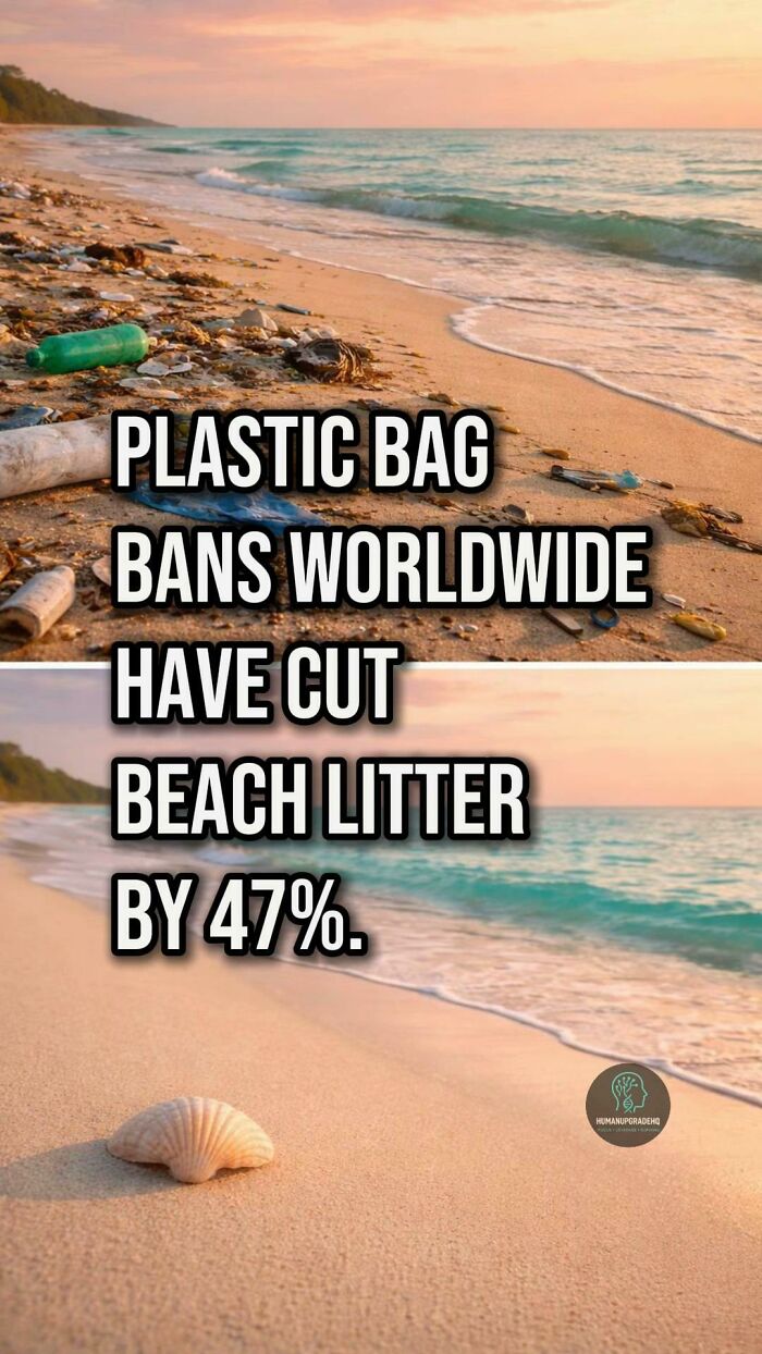 50 Awesome Good News Stories You Totally Missed