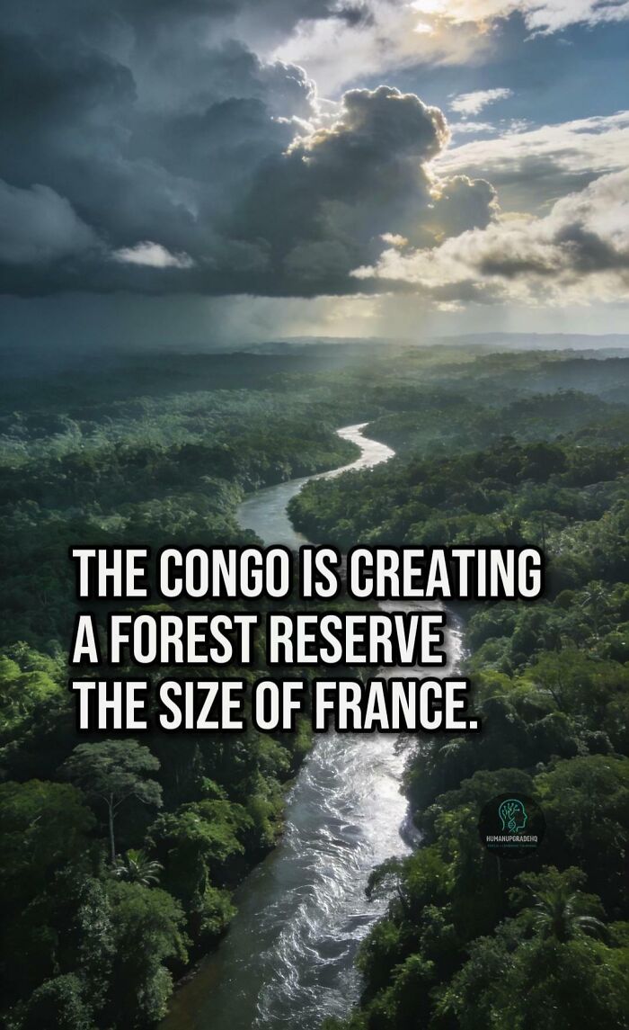 50 Awesome Good News Stories You Totally Missed