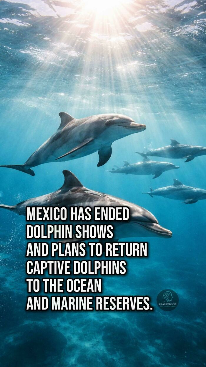 50 Awesome Good News Stories You Totally Missed