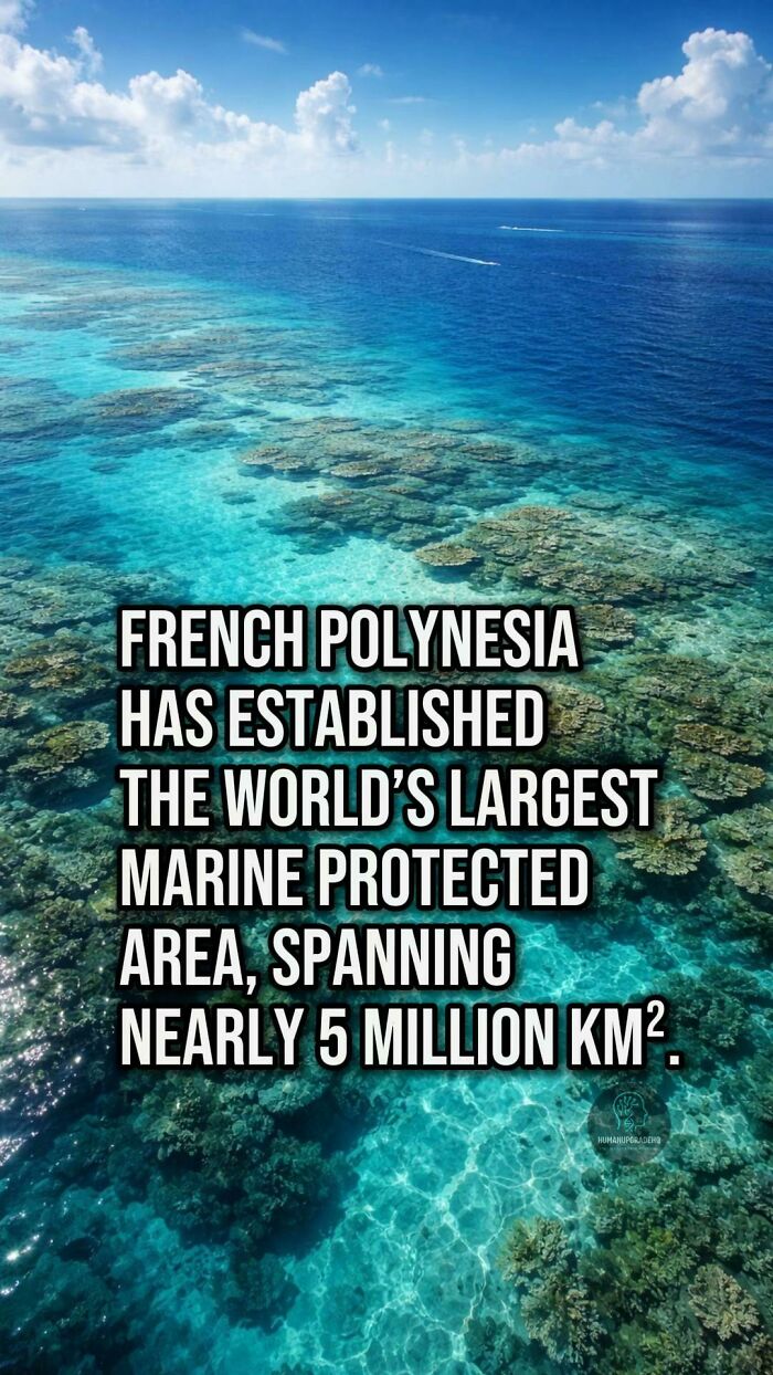 50 Awesome Good News Stories You Totally Missed