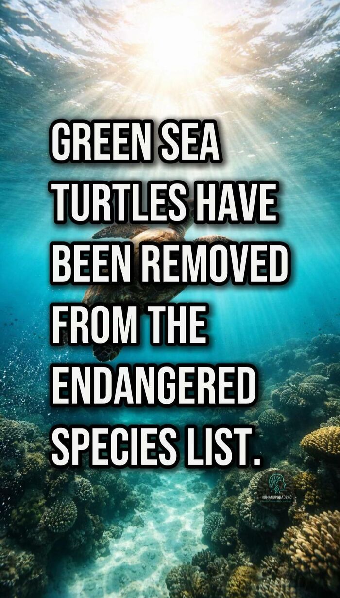 50 Awesome Good News Stories You Totally Missed