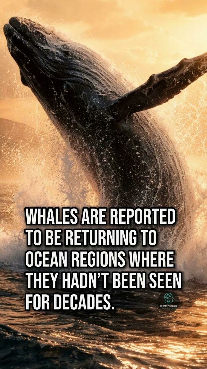 50 Awesome Good News Stories You Totally Missed