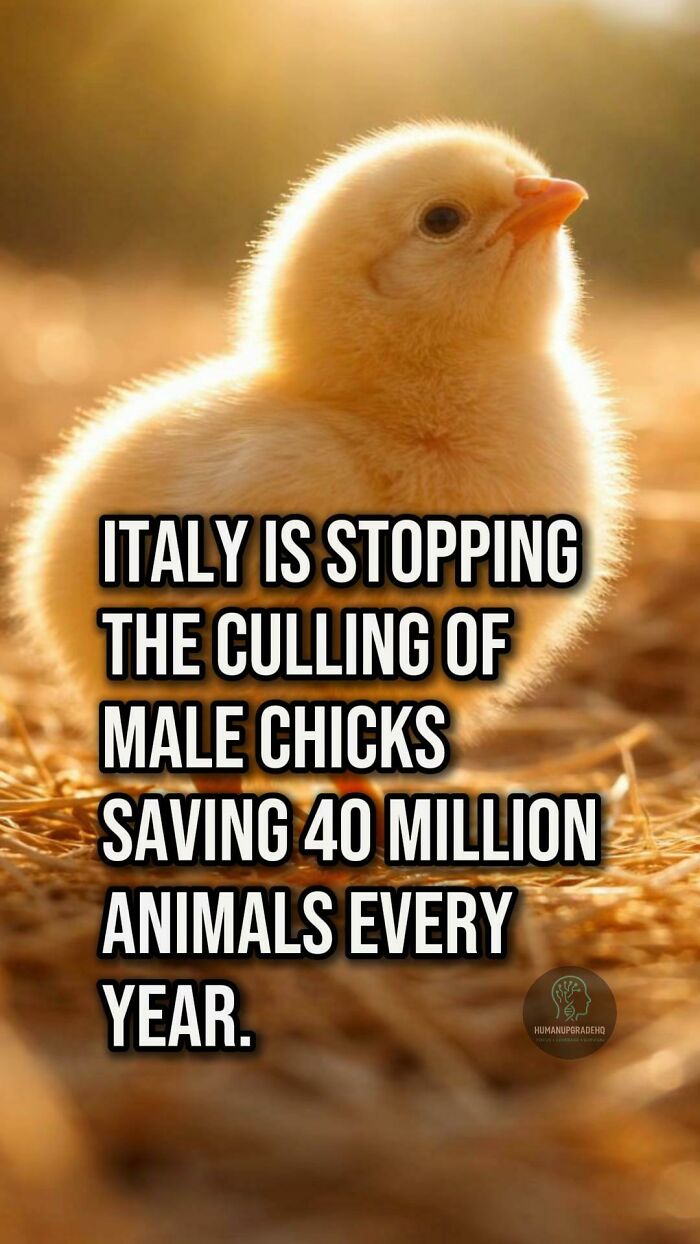 50 Awesome Good News Stories You Totally Missed