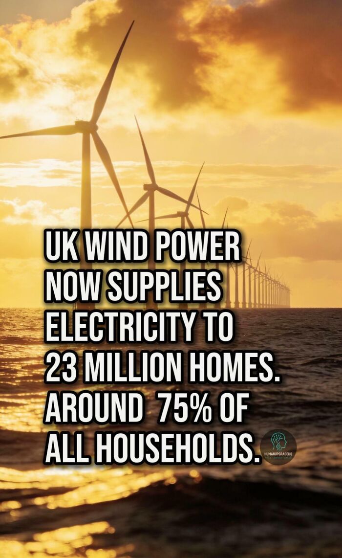 50 Awesome Good News Stories You Totally Missed