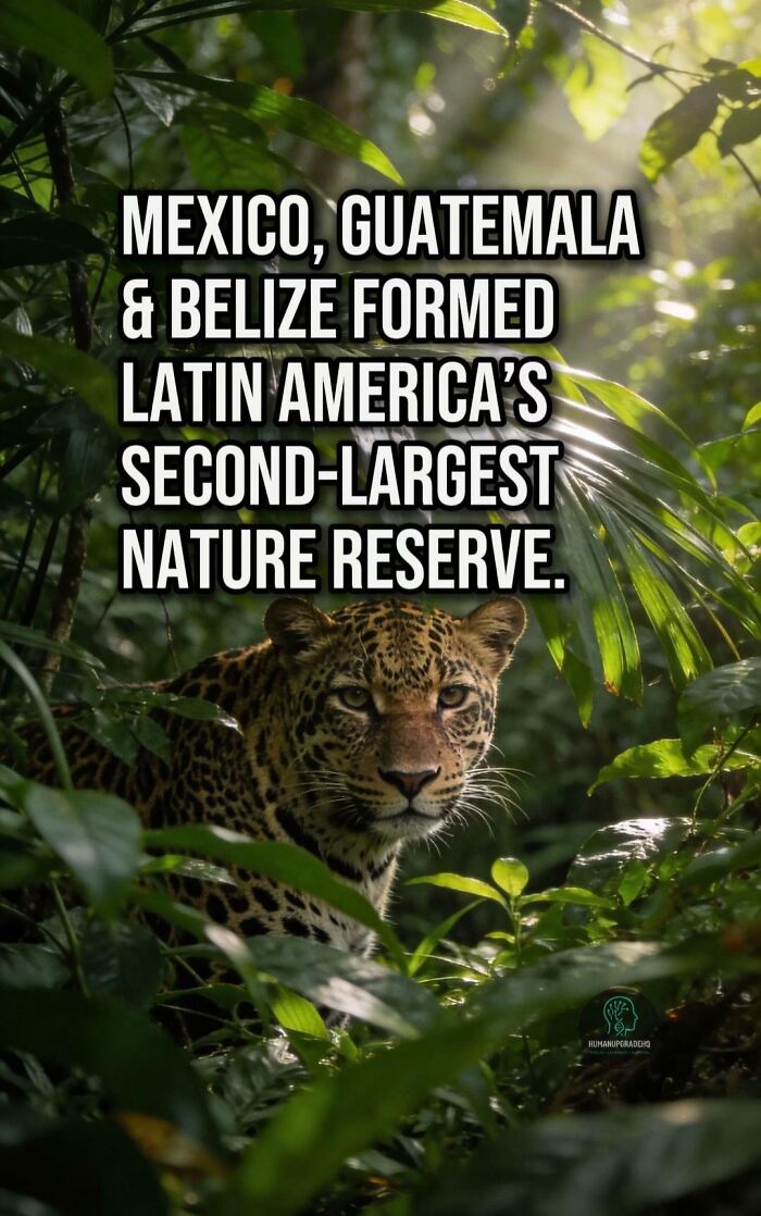 50 Awesome Good News Stories You Totally Missed