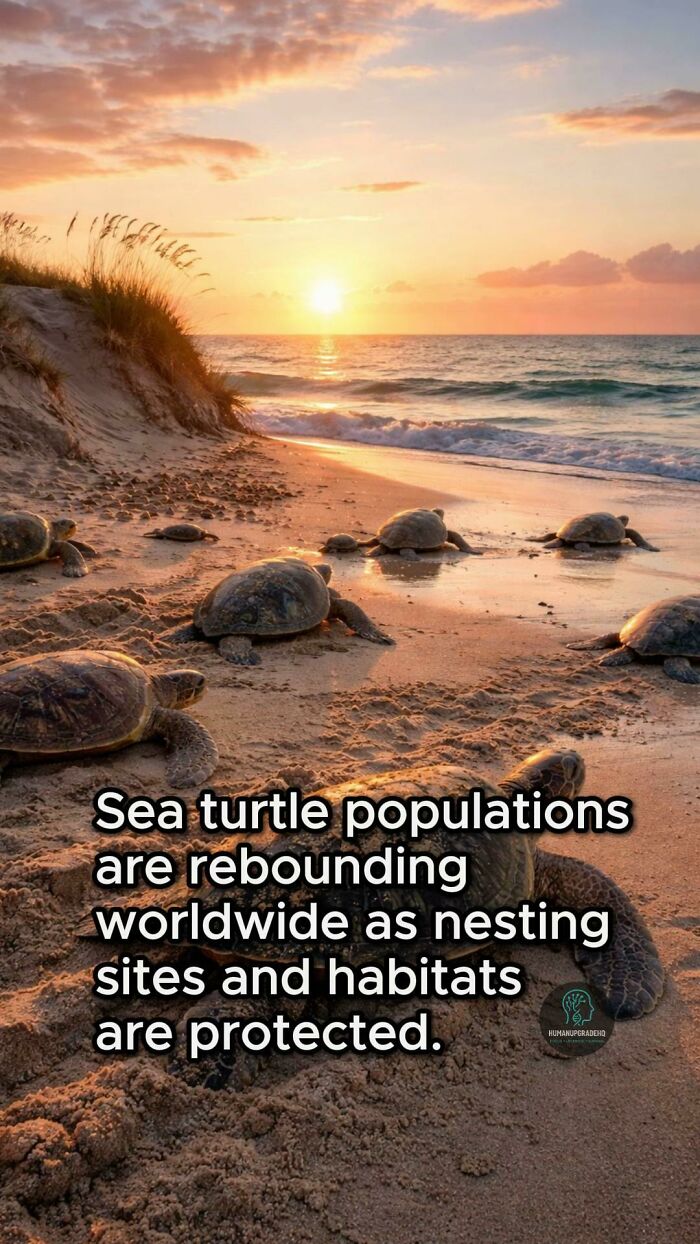 50 Awesome Good News Stories You Totally Missed