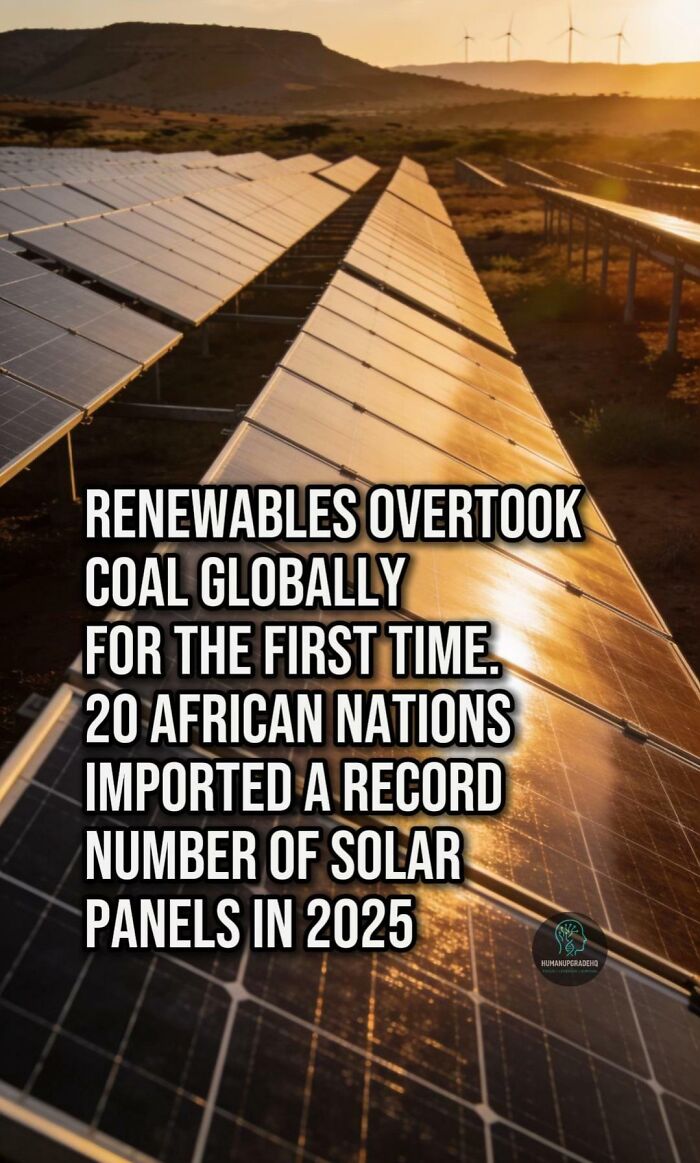 50 Awesome Good News Stories You Totally Missed