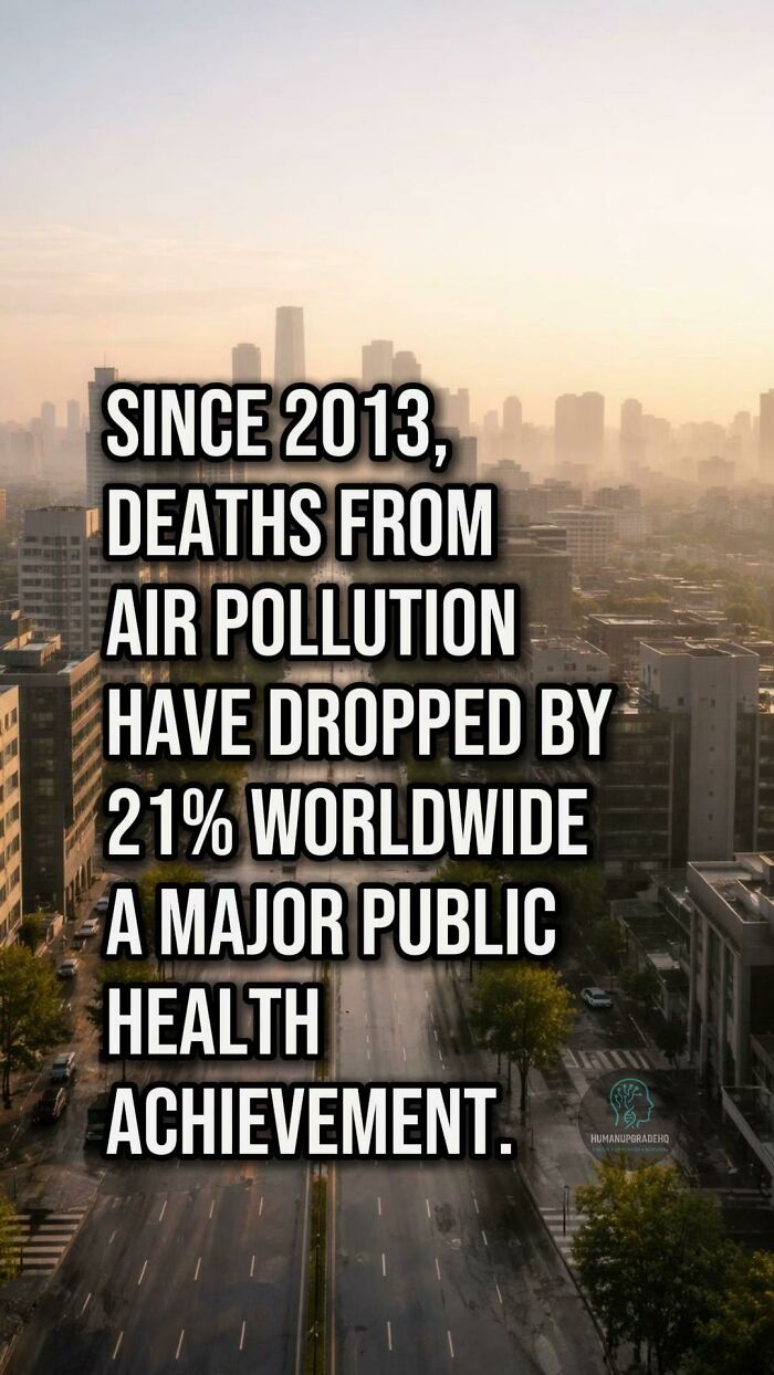 50 Awesome Good News Stories You Totally Missed