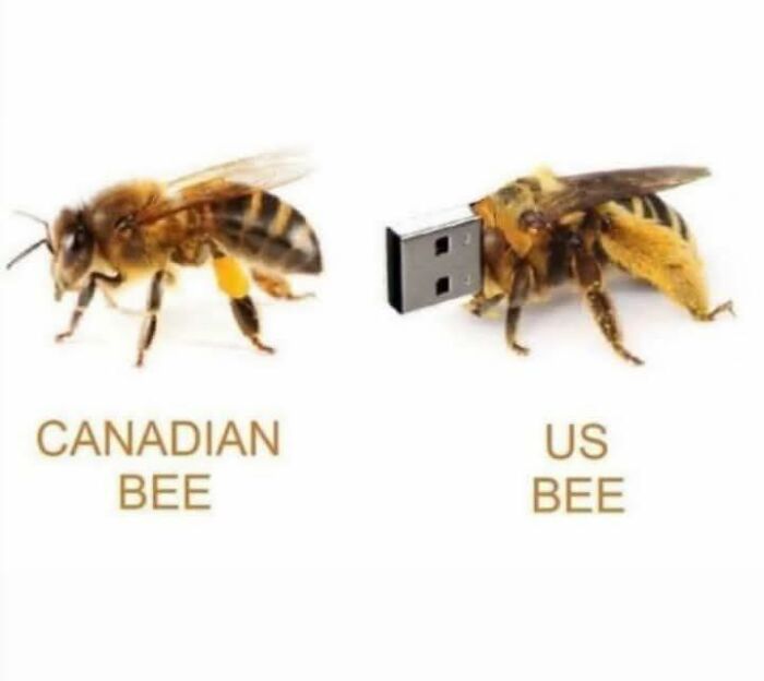 Wait, They Actually Put These Memes Together?!