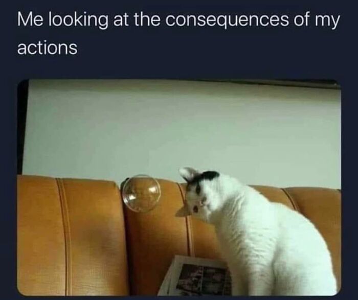 Wait, They Actually Put These Memes Together?!