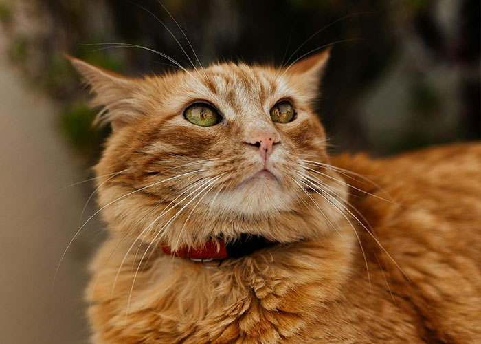 50 Hilariously Ridiculous ‘Ick’ Moments That Made Love Disappear