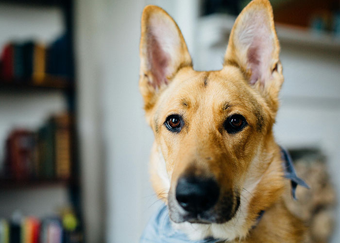 50 Hilariously Ridiculous ‘Ick’ Moments That Made Love Disappear