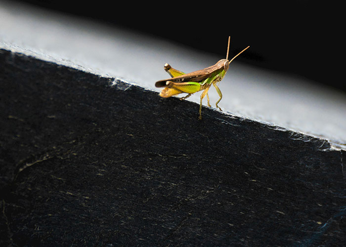 50 Hilariously Ridiculous ‘Ick’ Moments That Made Love Disappear