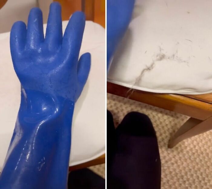 Rubber Gloves: Pet Hair’s Worst Nightmare