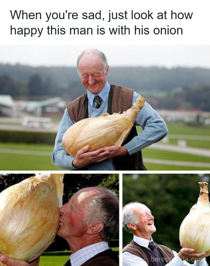 Onion? More Like Giant Tear Factory