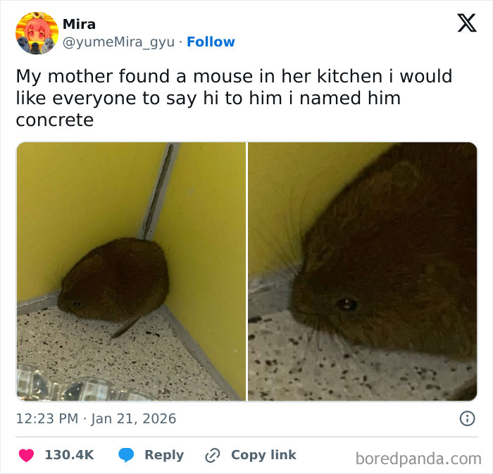 The Mouse From Godzilla's Universe?