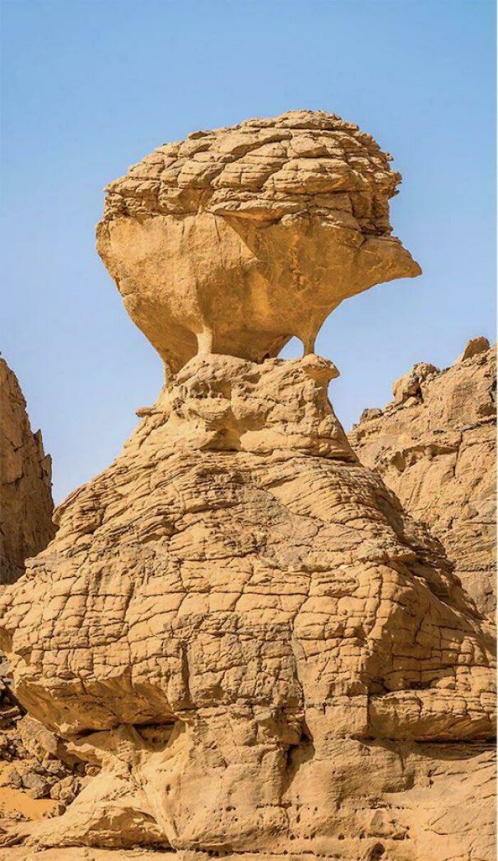 Rock Formation That Looks Like a Giant Hedgehog