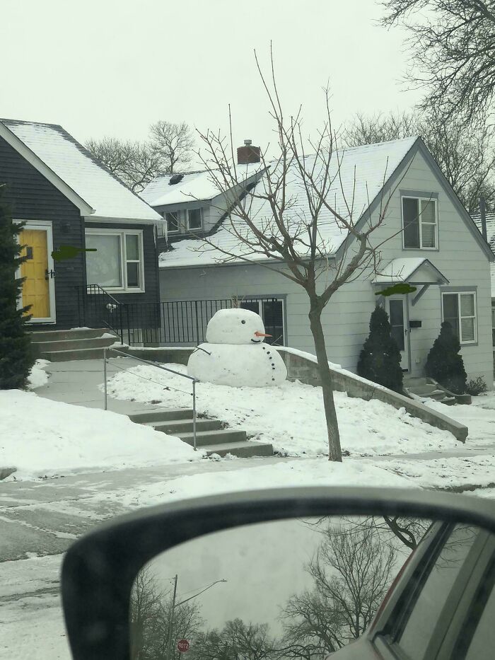 These Absolute Unit Giants Are So Big, They’ll Make Your Jaw Drop!