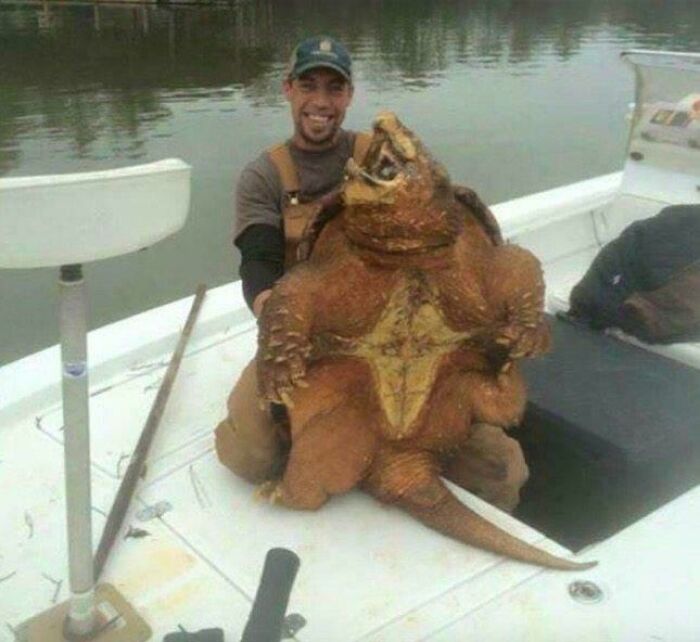 These Absolute Unit Giants Are So Big, They’ll Make Your Jaw Drop!