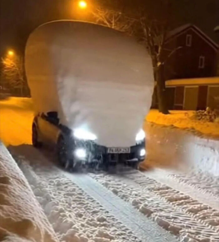 These Absolute Unit Giants Are So Big, They’ll Make Your Jaw Drop!