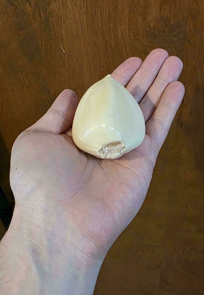 These Absolute Unit Giants Are So Big, They’ll Make Your Jaw Drop!