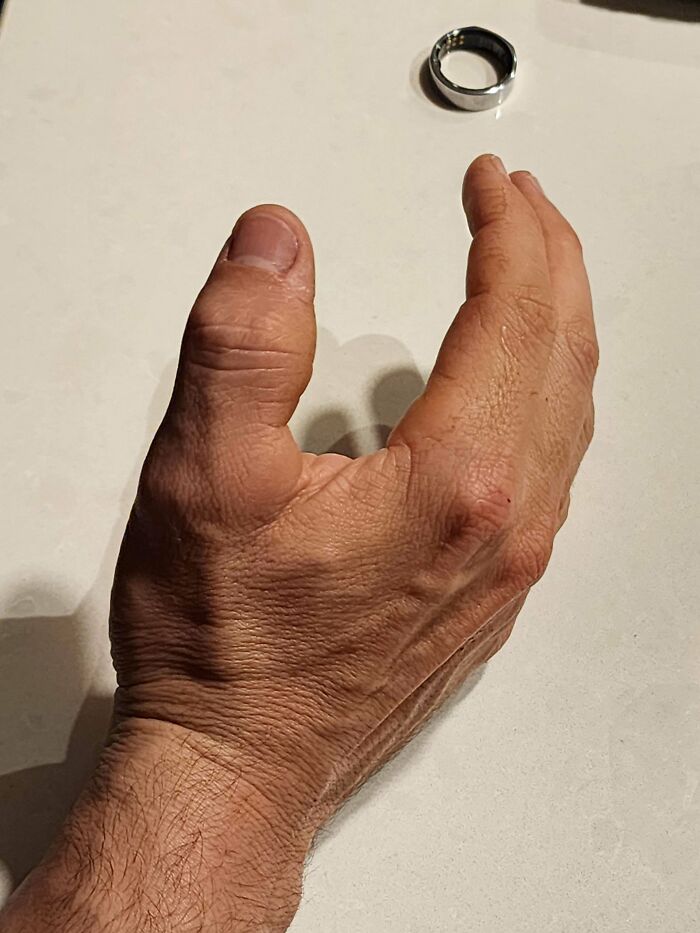 These Absolute Unit Giants Are So Big, They’ll Make Your Jaw Drop!