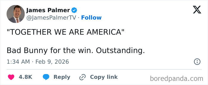 The Super Bowl Halftime Show That Had Everyone Talking (And Meme-ing)