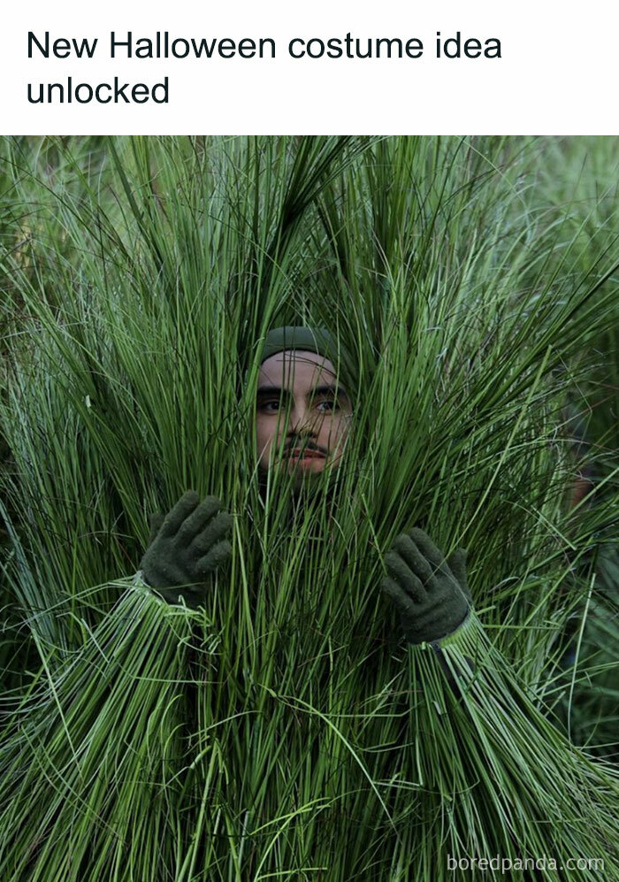 The Super Bowl Halftime Show That Had Everyone Talking (And Meme-ing)