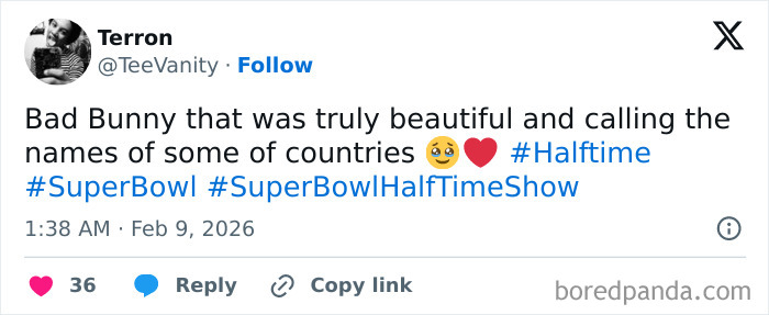 The Super Bowl Halftime Show That Had Everyone Talking (And Meme-ing)