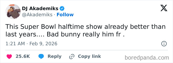 The Super Bowl Halftime Show That Had Everyone Talking (And Meme-ing)