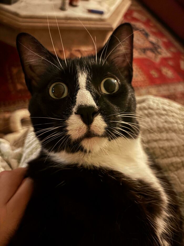 What’s Running Through That Brain?