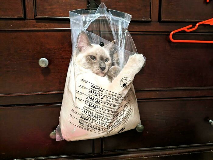 Mystery Entry and Exit – Loki Style