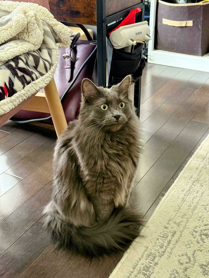 I Can See The Bottom Of My Bowl! Will I Die?