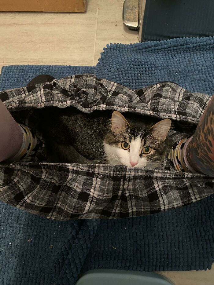 Trap Worked Too Well—Now Hostage Situation