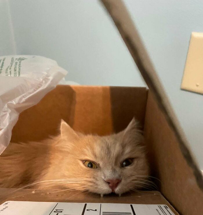 Can’t Believe There’s A Whole Subreddit For This