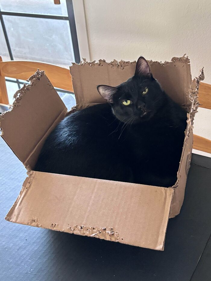 Straight Sides? Nah, Go With The Frills