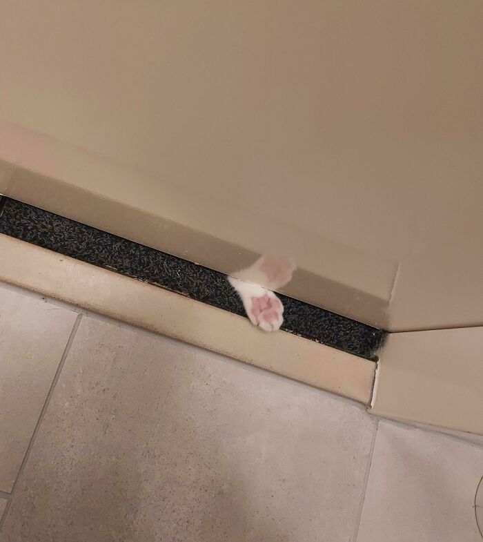 Want To Use The Toilet, Please?