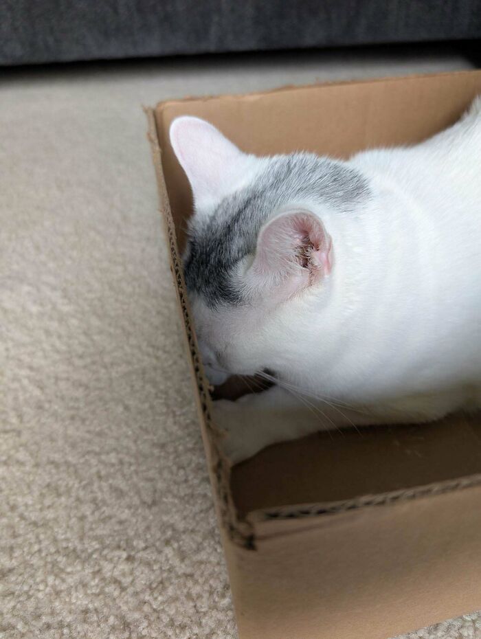 Hiding From The World (And Responsibilities)