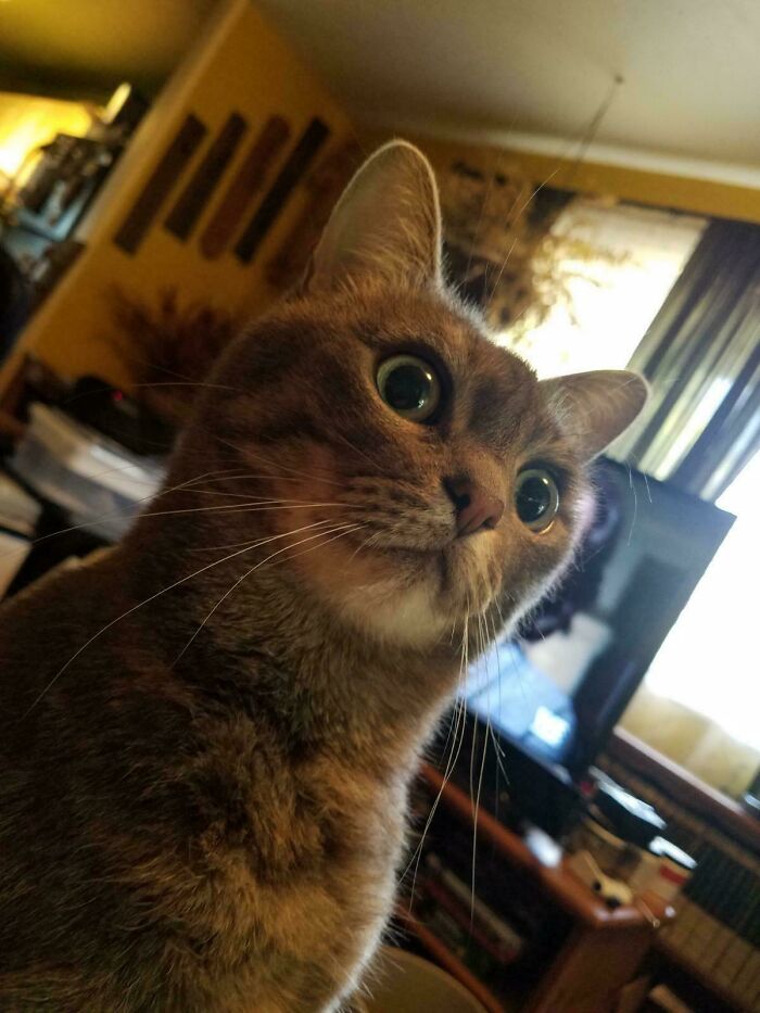 Woke Up Suddenly and Existential Crisis Mode