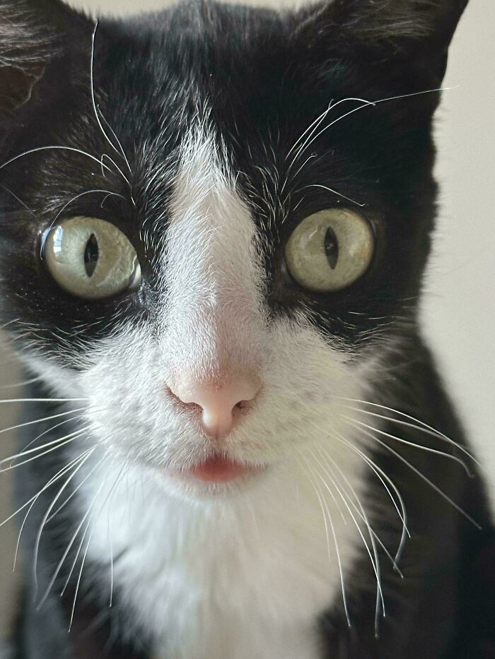 Miso Realizes She’s Self-Aware…Uh Oh