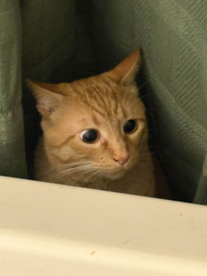 Wait, I’m In A Bathtub?