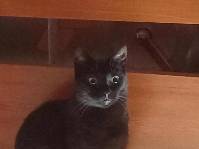 Existential Crisis Alert!