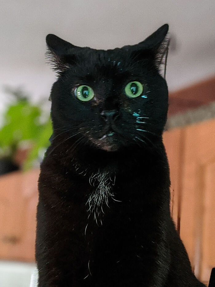 Oops! Yelled At For Rubbing Fresh Paint