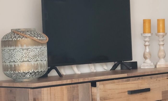 Secret Paws Behind The TV