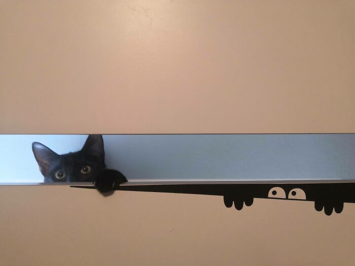 Master Of Disguise: Blending In