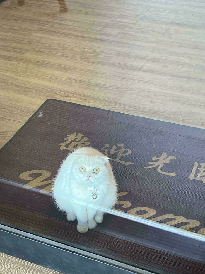 Waiting For Customers Or Just Ready To Go Home?