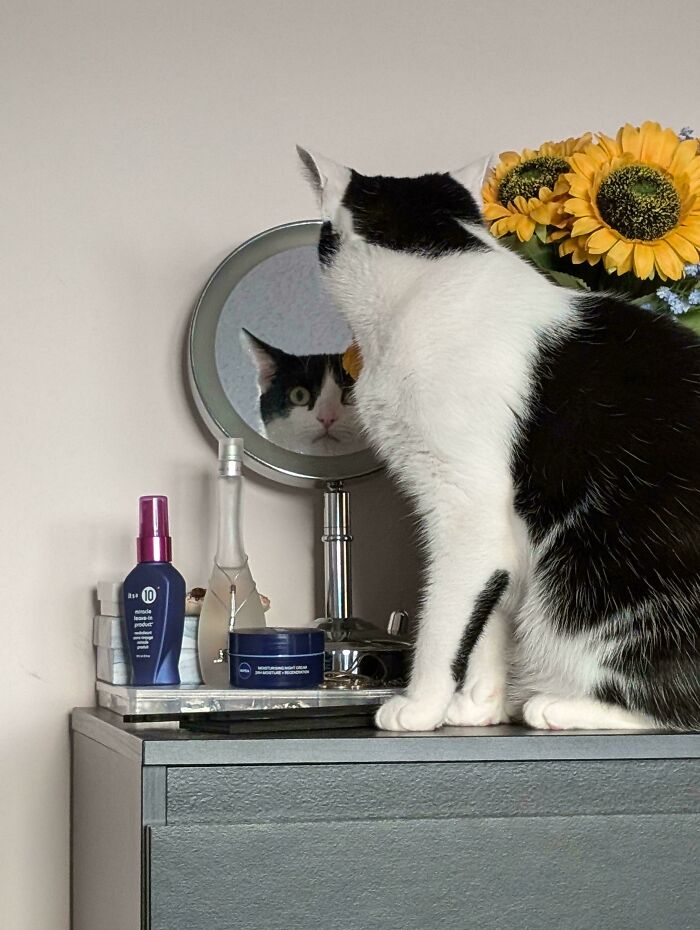 Willow’s Having A Moment