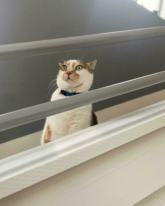 When The Abyss Stares Back